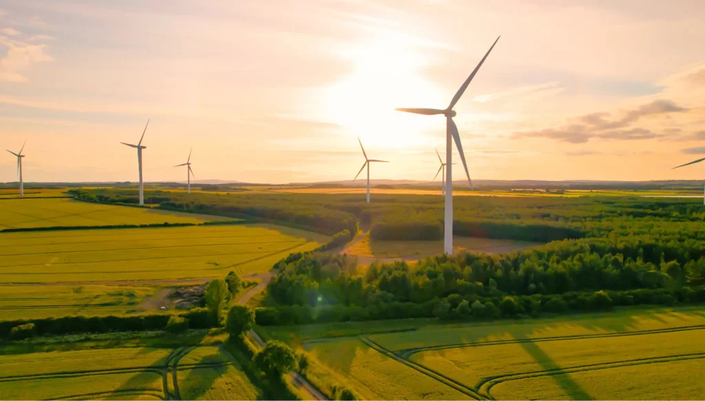 New Association Helps Farmers and Ranchers Navigate Renewable Energy Opportunities