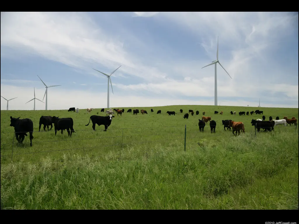 From Skeptic to Advocate: Why a Kansas Rancher Believes in Wind Energy and REFA