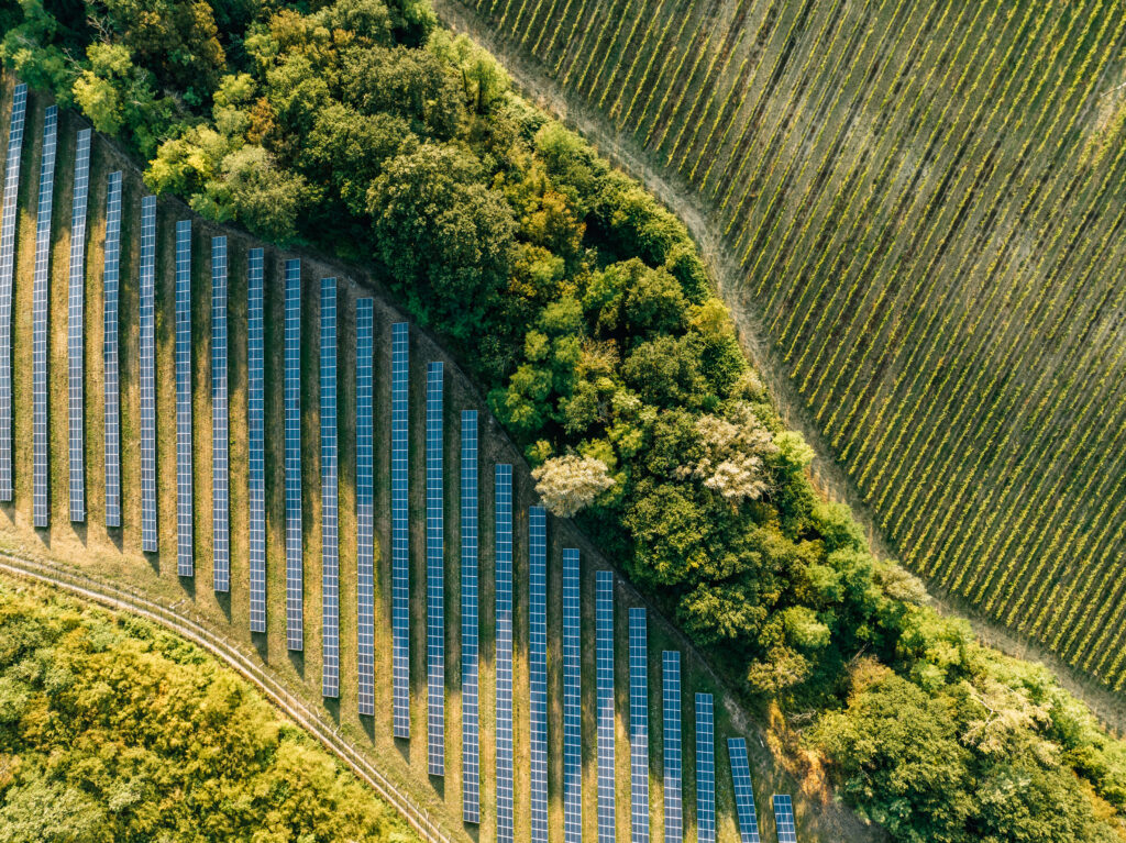 Understanding Leases and Easements in Renewable Energy Projects 