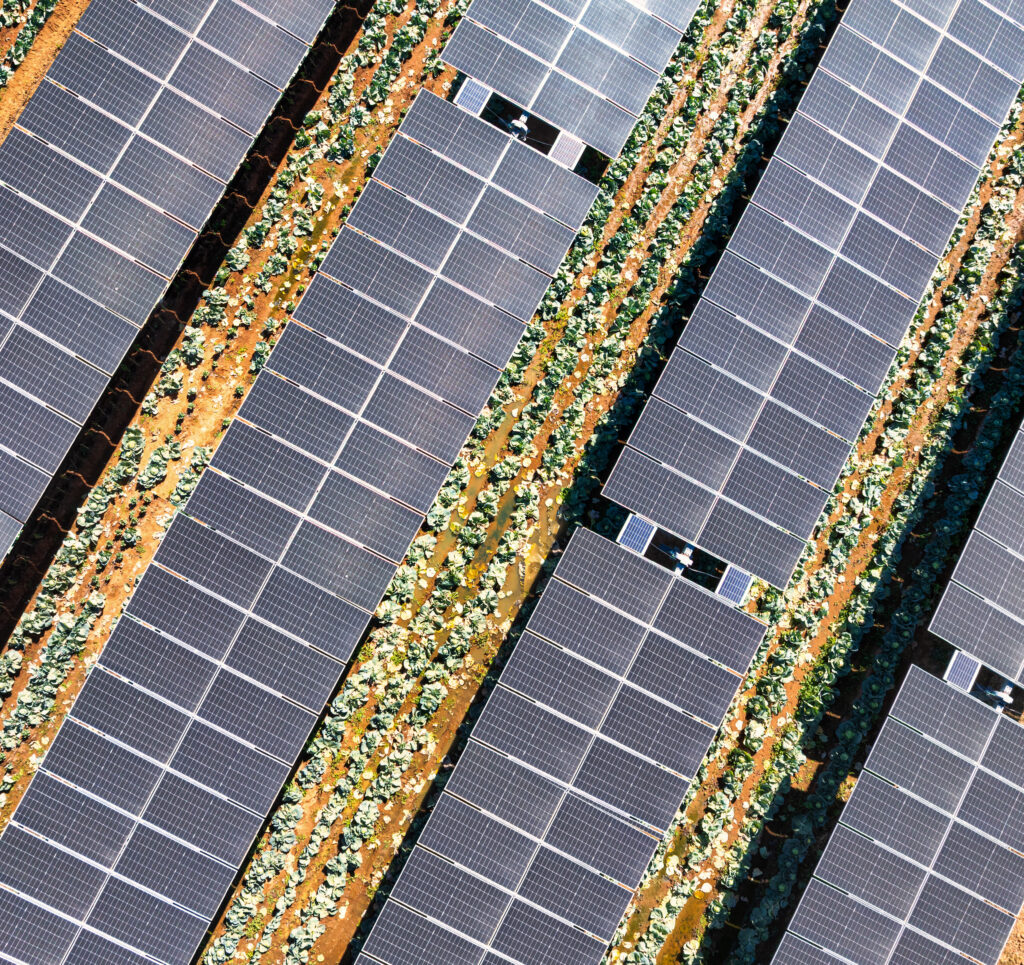 Addressing Concerns About Loss of Farmland and Farmer Well-Being 